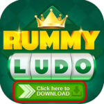Ludo Rummy
